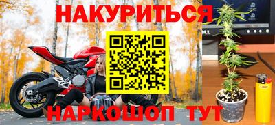 дживик Гай