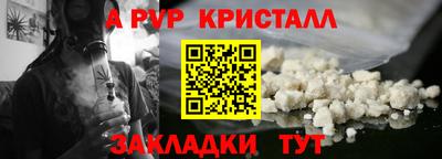 кокс Гатчина